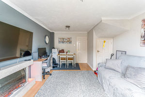 Photo 14- click for photo gallery